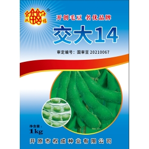 國審-交大14